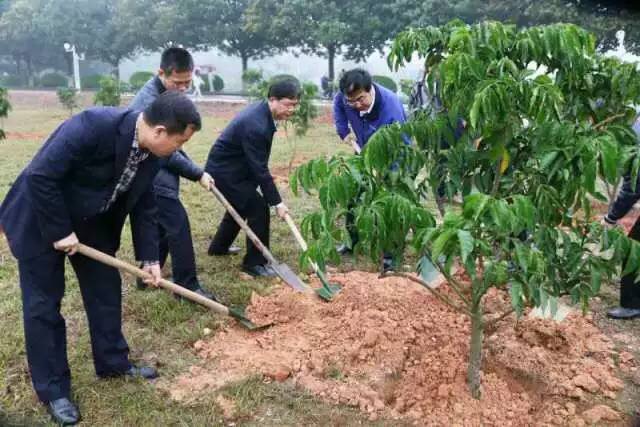 点此在新窗口浏览图片